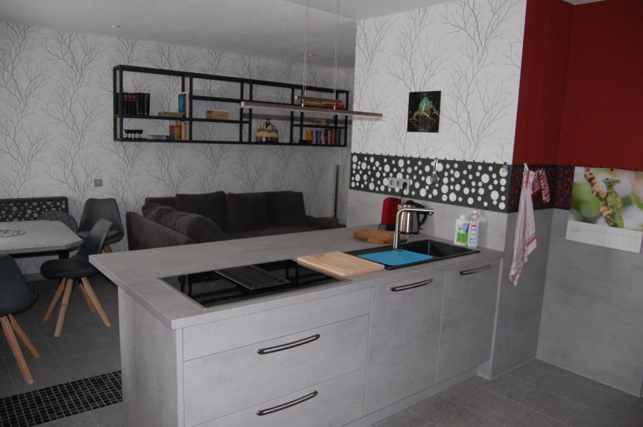 Hochwertige Ferienwohnung/Zentrumsnahe Lage! ライヒェンバッハ・イム・フォークトラント エクステリア 写真
