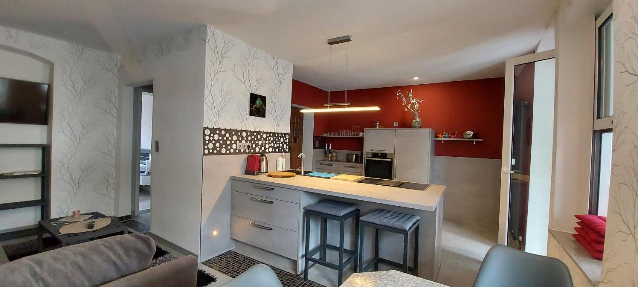 Hochwertige Ferienwohnung/Zentrumsnahe Lage! ライヒェンバッハ・イム・フォークトラント エクステリア 写真